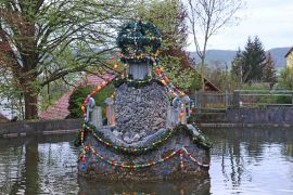 Ostern In Jena Elf Entenkueken Sorgen In Woellnitz Fuer Freude 09
